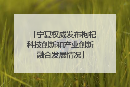 宁夏权威发布枸杞科技创新和产业创新融合发展情况