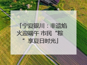 宁夏银川：非遗焰火迎端午 市民“粽”享夏日时光