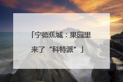 宁德蕉城：果园里来了“科特派”