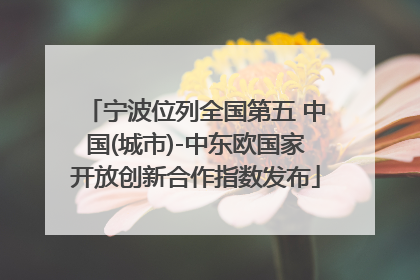 宁波位列全国第五 中国(城市)-中东欧国家开放创新合作指数发布