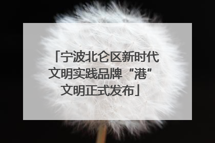 宁波北仑区新时代文明实践品牌“港”文明正式发布