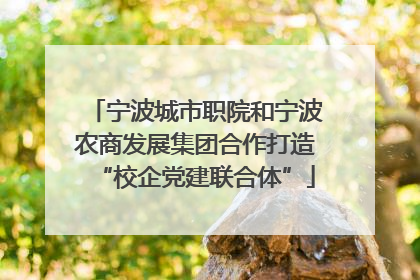 宁波城市职院和宁波农商发展集团合作打造“校企党建联合体”
