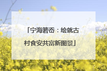 宁海箬岙：绘就古村食安共富新图景