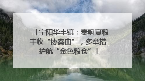 宁阳华丰镇：奏响夏粮丰收“协奏曲”，多举措护航“金色粮仓”