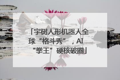 宇树人形机器人全球“格斗秀”，AI“拳王”硬核破圈