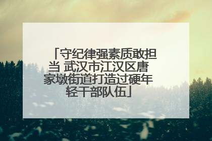 守纪律强素质敢担当 武汉市江汉区唐家墩街道打造过硬年轻干部队伍