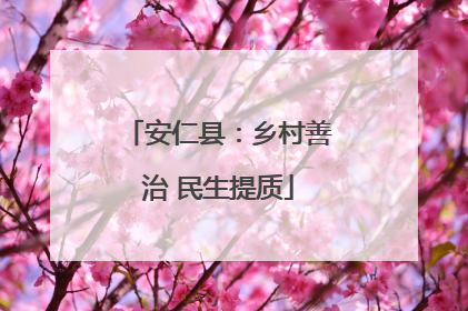 安仁县：乡村善治 民生提质