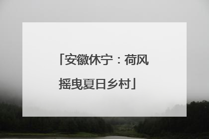 安徽休宁：荷风摇曳夏日乡村