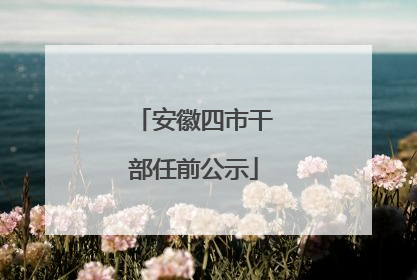安徽四市干部任前公示