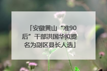 安徽黄山“准90后”干部洪国华拟提名为副区县长人选