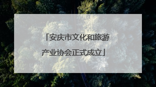 安庆市文化和旅游产业协会正式成立