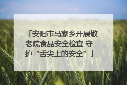 安阳市马家乡开展敬老院食品安全检查 守护“舌尖上的安全”