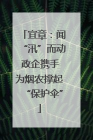 宜章：闻“汛”而动 政企携手为烟农撑起“保护伞”