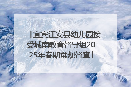 宜宾江安县幼儿园接受城南教育督导组2025年春期常规督查