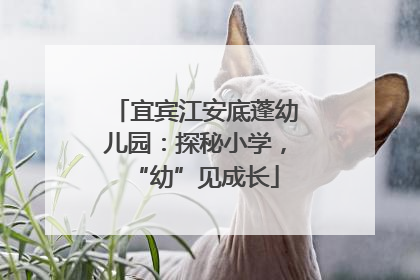 宜宾江安底蓬幼儿园：探秘小学，“幼”见成长