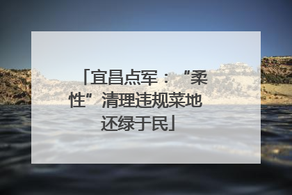 宜昌点军：“柔性”清理违规菜地 还绿于民