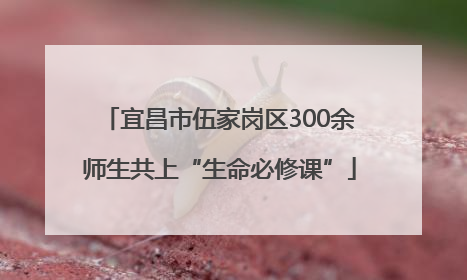 宜昌市伍家岗区300余师生共上“生命必修课”