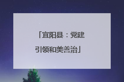 宜阳县：党建引领和美善治