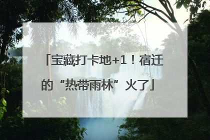 宝藏打卡地+1！宿迁的“热带雨林”火了