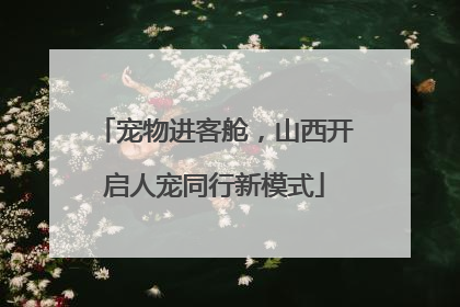 宠物进客舱，山西开启人宠同行新模式