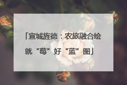 宣城旌德：农旅融合绘就“莓”好“蓝”图