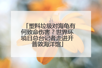 塑料垃圾对海龟有何致命伤害？世界环境日总台记者走进开普敦海洋馆