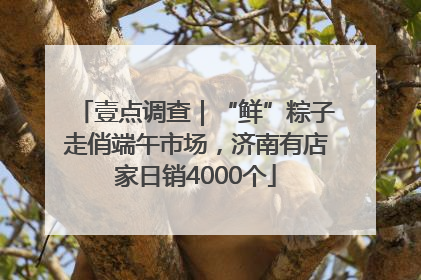 壹点调查｜“鲜”粽子走俏端午市场，济南有店家日销4000个