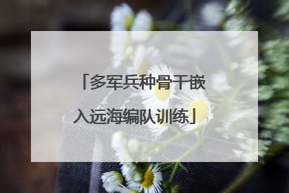 多军兵种骨干嵌入远海编队训练