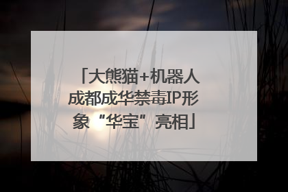 大熊猫+机器人 成都成华禁毒IP形象“华宝”亮相