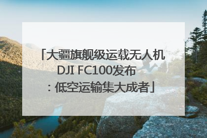 大疆旗舰级运载无人机DJI FC100发布：低空运输集大成者