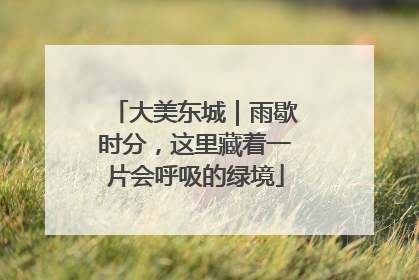 大美东城｜雨歇时分，这里藏着一片会呼吸的绿境