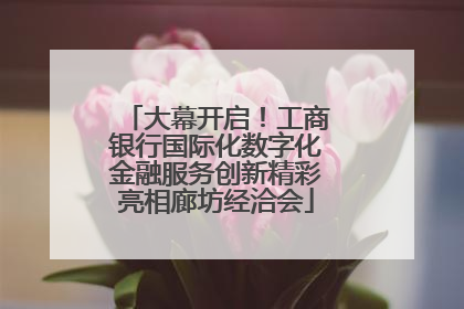 大幕开启！工商银行国际化数字化金融服务创新精彩亮相廊坊经洽会