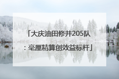 大庆油田修井205队：毫厘精算创效益标杆