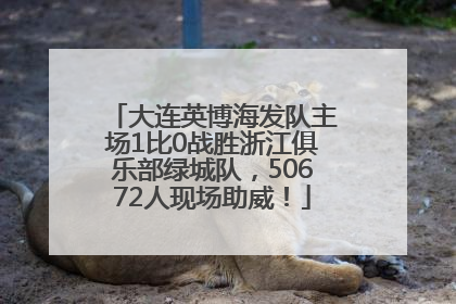 大连英博海发队主场1比0战胜浙江俱乐部绿城队，50672人现场助威！