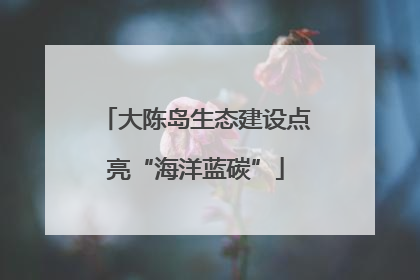 大陈岛生态建设点亮“海洋蓝碳”