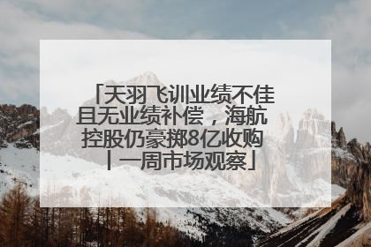 天羽飞训业绩不佳且无业绩补偿，海航控股仍豪掷8亿收购丨一周市场观察