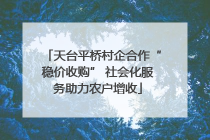 天台平桥村企合作“稳价收购” 社会化服务助力农户增收