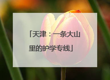 天津：一条大山里的护学专线