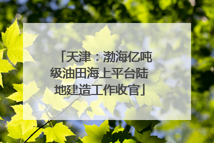 天津：渤海亿吨级油田海上平台陆地建造工作收官