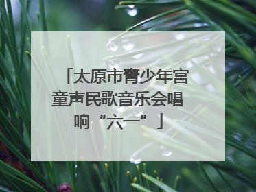 太原市青少年宫童声民歌音乐会唱响“六一”