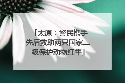 太原：警民携手 先后救助两只国家二级保护动物红隼