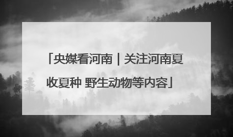 央媒看河南｜关注河南夏收夏种 野生动物等内容
