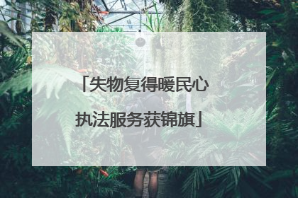 失物复得暖民心 执法服务获锦旗