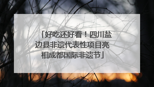 好吃还好看！四川盐边县非遗代表性项目亮相成都国际非遗节