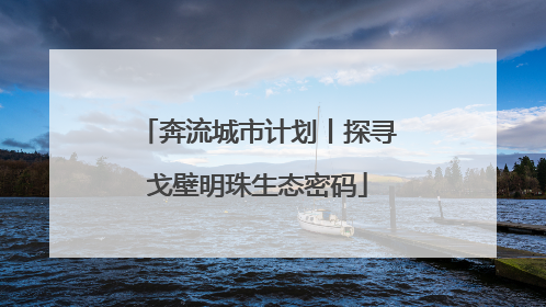 奔流城市计划丨探寻戈壁明珠生态密码