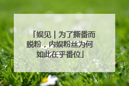 娱见｜为了撕番而脱粉，内娱粉丝为何如此在乎番位