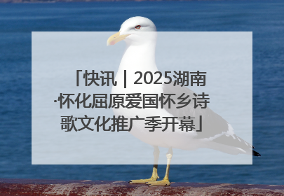快讯｜2025湖南·怀化屈原爱国怀乡诗歌文化推广季开幕