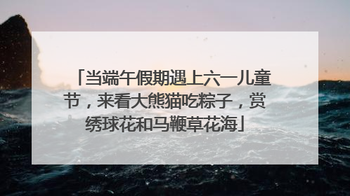 当端午假期遇上六一儿童节，来看大熊猫吃粽子，赏绣球花和马鞭草花海