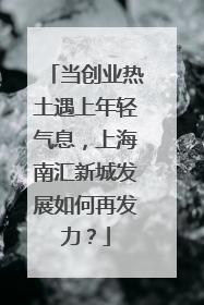当创业热土遇上年轻气息，上海南汇新城发展如何再发力？