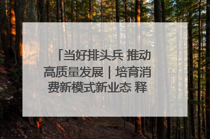 当好排头兵 推动高质量发展｜培育消费新模式新业态 释放经济增长新动能
